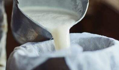 Sektör temsilcilerinden süt-yem paritesi 1,5 olsun talebi