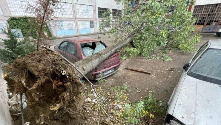 Bursa’da etkili lodos! Ağaç 3 otomobilin üstüne devrildi!
