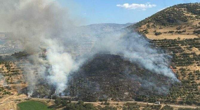 İzmir’de orman yangını çıktı