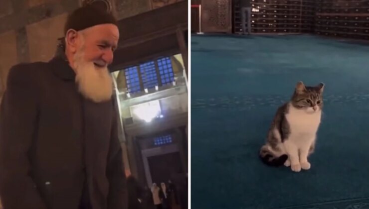 Ayasofya Camii’nde kedi sevdiği videosu milyonlarca izlenen vatandaşın kim olduğu ortaya çıktı! Tepkisi de gülümsetti